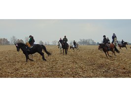 W Mołdawinie świętowali na koniach