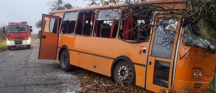 Szkolny autobus uderzył w drzewo w powiecie łobeskim