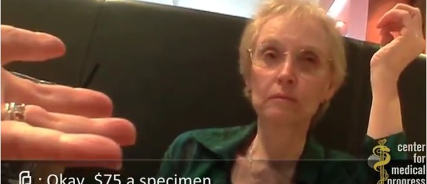 Skandal wokół handlu płodami (film)