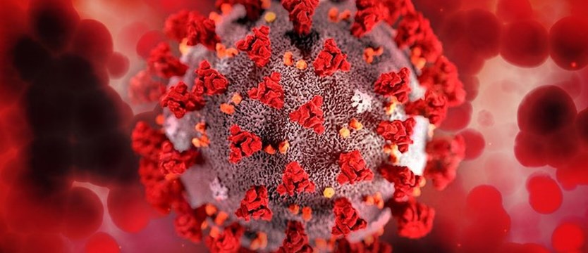 Ministerstwo Zdrowia: 11 660 nowych potwierdzonych zakażeń koronawirusem. Zmarło 107 osób