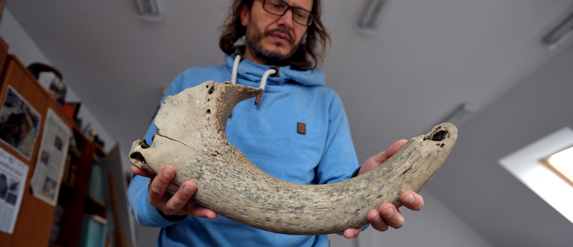 Ciekawe znalezisko na plaży w Łukęcinie