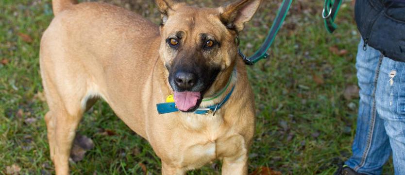 Hera od pierwszego wejrzenia