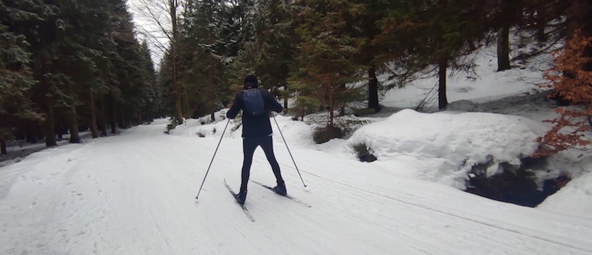 Koniec ferii, początek ferii. Jak pogoda w drugiej połowie lutego?