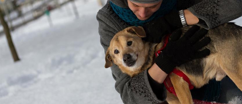 B. jak błaganie o pomoc