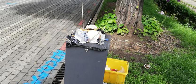 Jaki sposób na morze ulicznych śmieci?