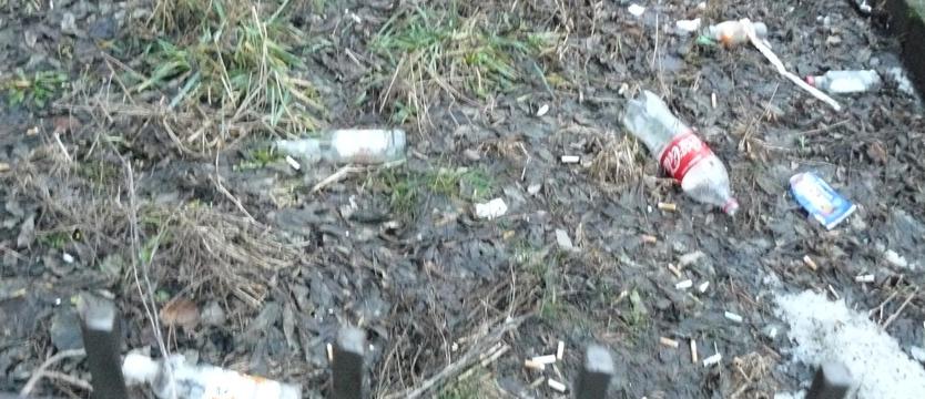 Szczury będą zachwycone...