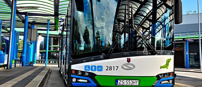 Kolejne 22 autobusy zasilą tabor SPA "Dąbie"