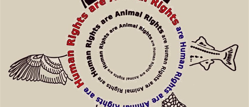Prawa ludzi - prawa zwierząt