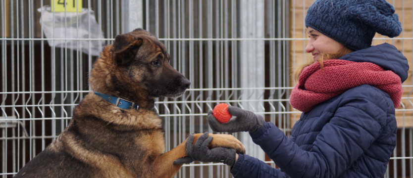 Bora, czyli zew wolności
