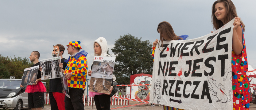 Cyrk dla ludzi - NIE dla zwierząt