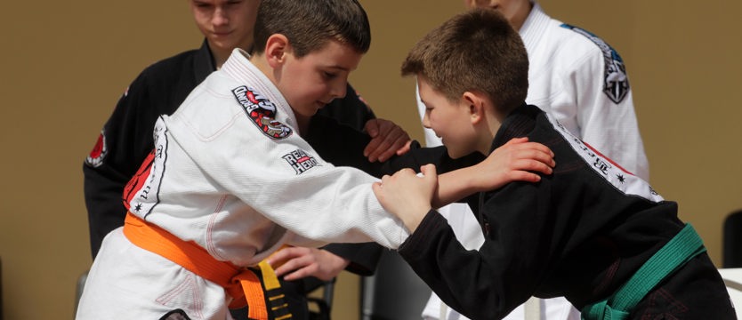 Naucz się walczyć u Berserkerów!