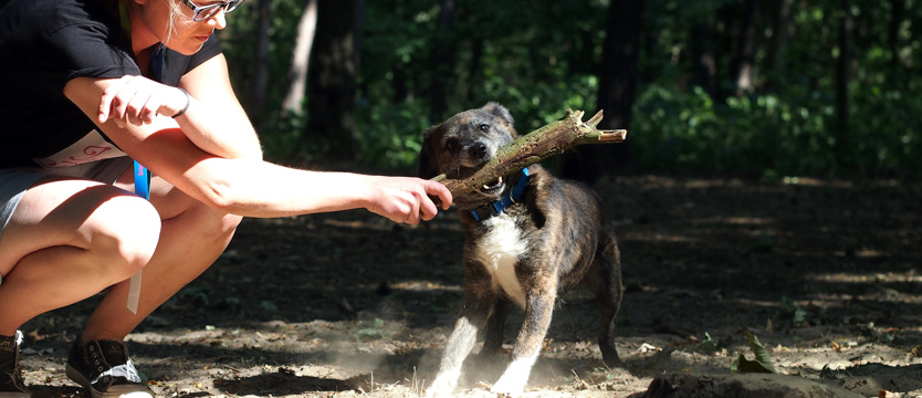 Borek: dzielny chłopak (film)
