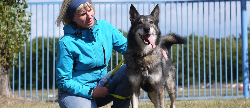 Alfik: żywe srebro na łapach (film)