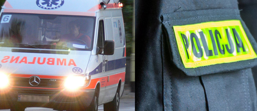 Autokar z dziećmi uderzył w drzewo