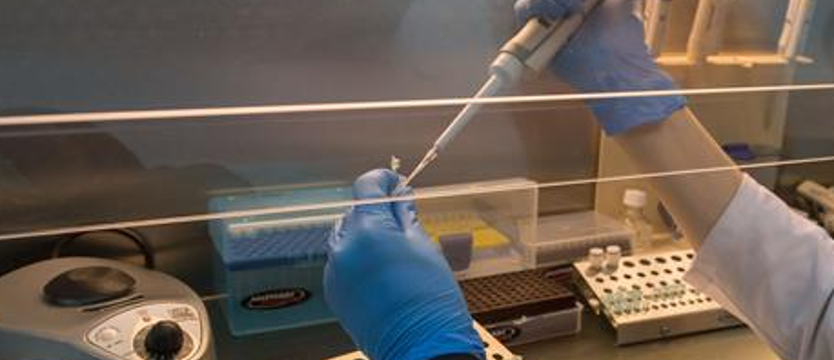 Przeciwko klonowaniu