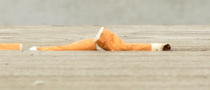 Słona kara za śmiecenie