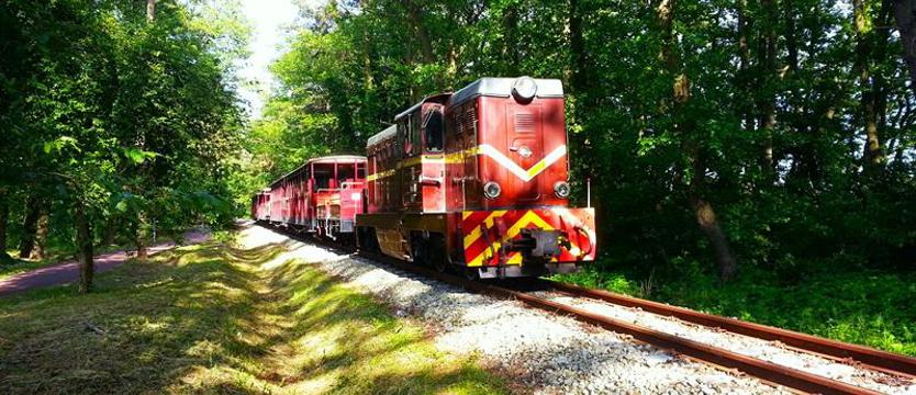 Nadmorska kolejka zaprasza na jesienne przejażdżki