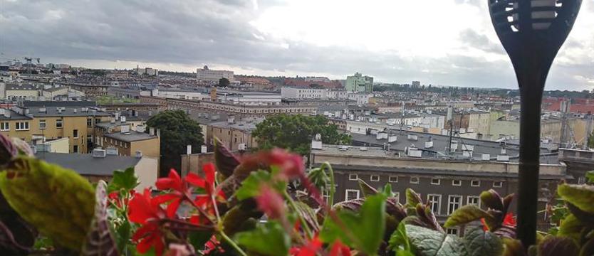 Finaliści konkursu „Cały Szczecin w kwiatach”. Miniogród na wysokościach