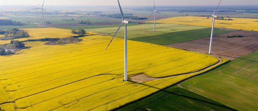 Energetyka wiatrowa jest bezpieczna dla środowiska