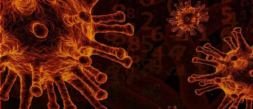 W kraju w poniedziałek ponad 24 tys. przypadków koronawirusa