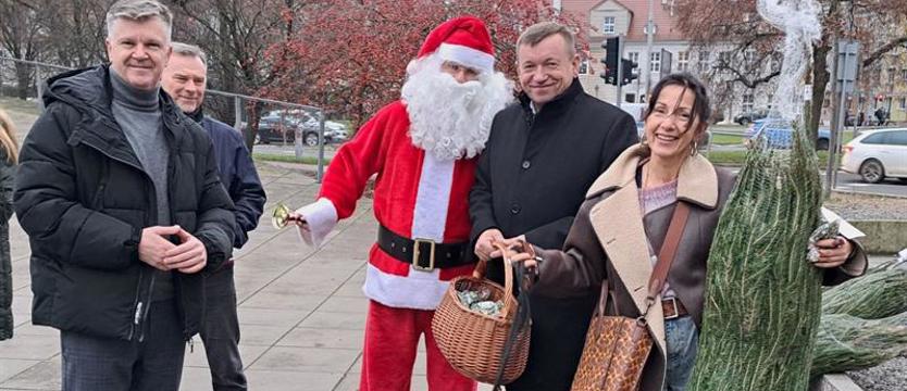 PSL rozdaje choinki. ,,Jesteśmy przywiązani do polskiej tradycji"