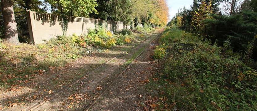 Koszalińska wąskotorówka potrzebuje pomocy
