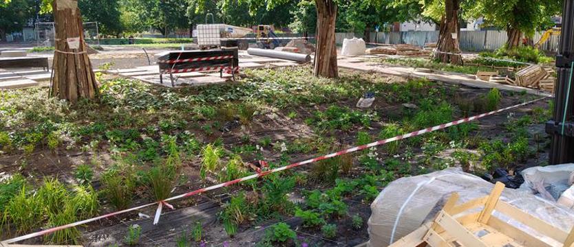 Ogród dla Orła Białego. Mała retencja na wielkim placu