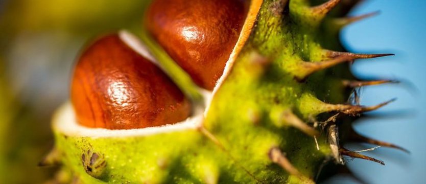 Rozpoczęła się astronomiczna jesień