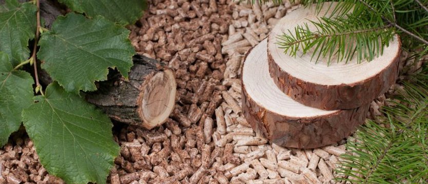 Pellet nadal bezpiecznym i stabilnym paliwem: sezonowe wahania nie zmieniają jego roli na rynku