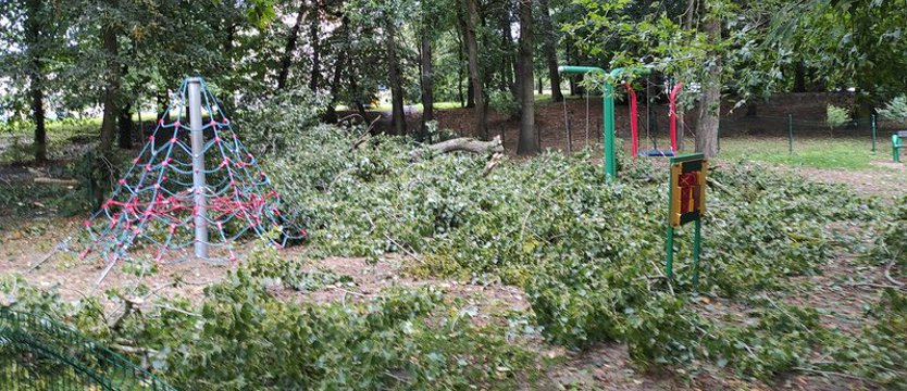 Drzewo runęło na plac zabaw w parku Chopina w Szczecinie