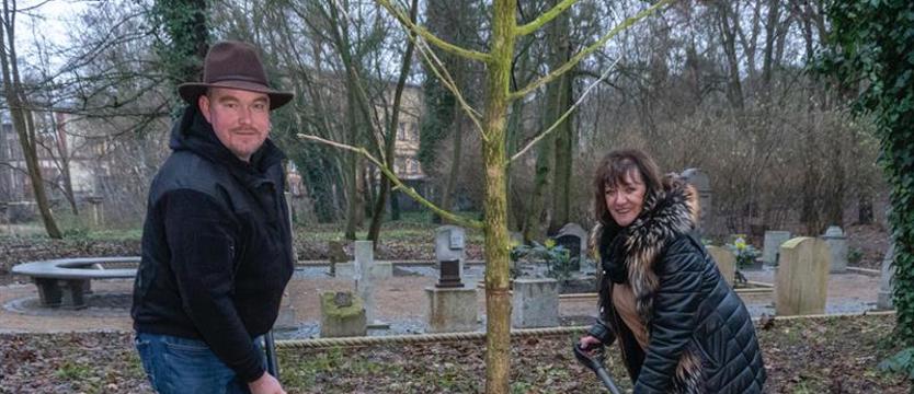 Dwa drzewa z historią w tle