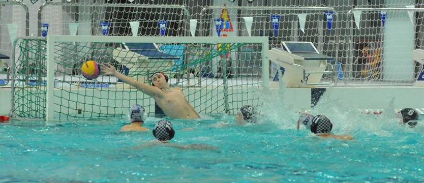 Piłka wodna. Reaktywacja I ligi