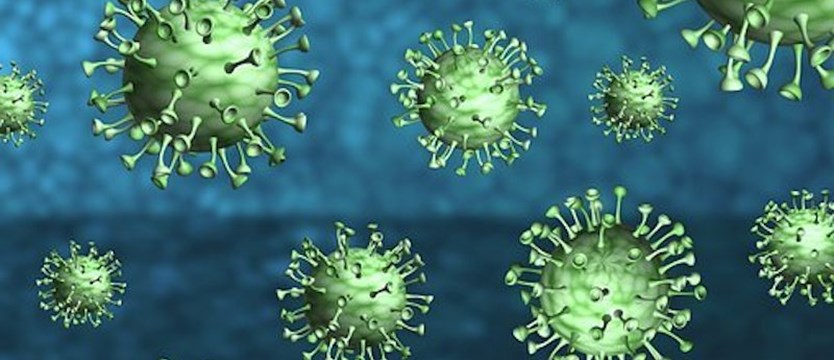 W czwartek w kraju ponad 700 nowych  przypadków koronawirusa. Zmarło 10 osób