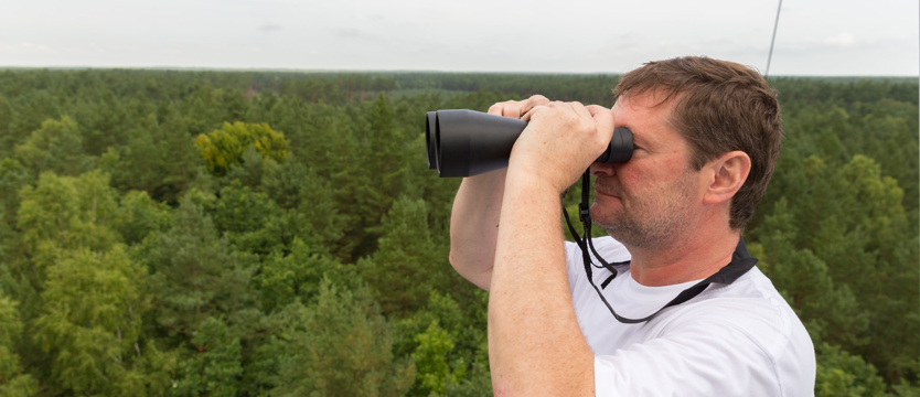 Alarm dla szczecińskich lasów