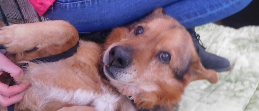 Aris, czyli pozytywna moc