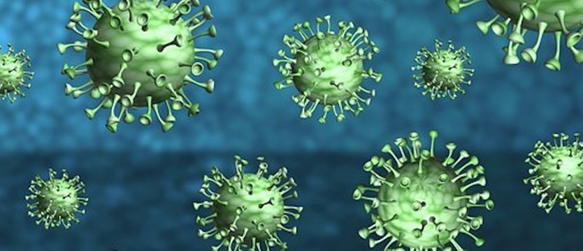 W niedzielę w kraju 643 nowe zakażenia wirusem SARS-CoV-2