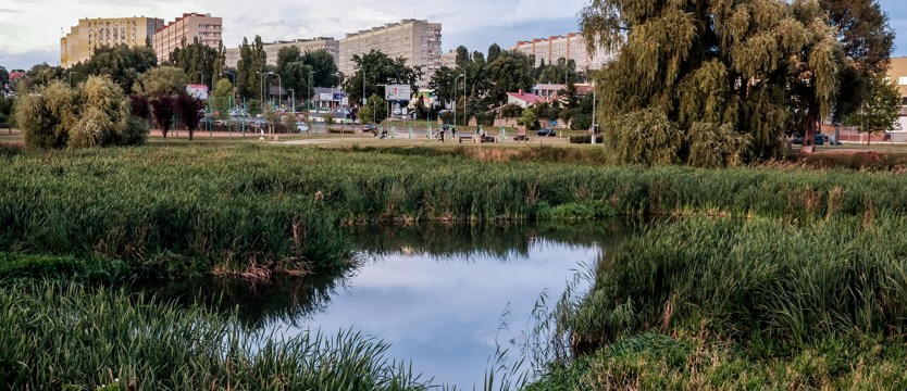 Zwłoki  w jeziorku Słonecznym