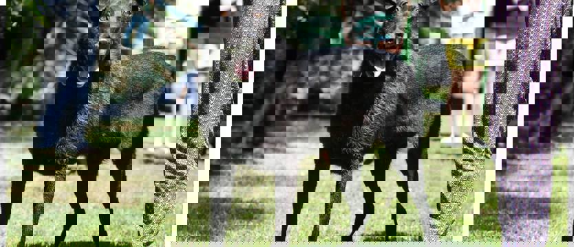 Czas na Miśka (film)