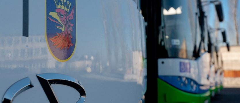 Zjechała osiemdziesiątka