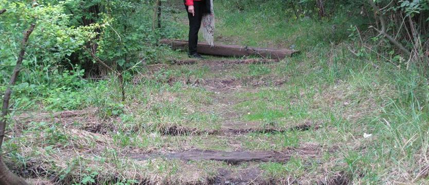 SBO dla Świerczewa - raczej bez Zachęty?