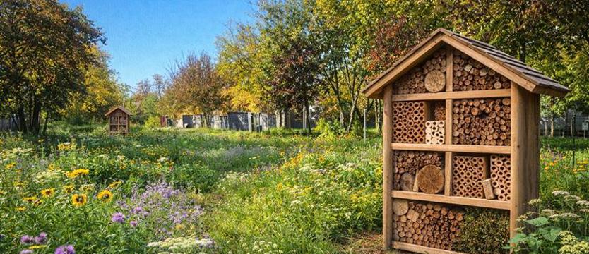 Kurs w zielone. Rekreacja, łąki kwietne, hotele dla owadów