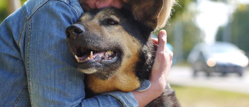 Figa: lep na człowieka (film)
