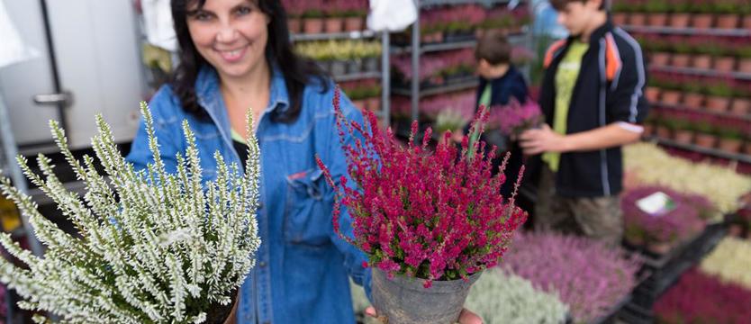 Patronat KURIERA: ogród Wałów Chrobrego