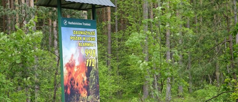 IMGW ostrzega przed zagrożeniem pożarowym w lasach w większości kraju