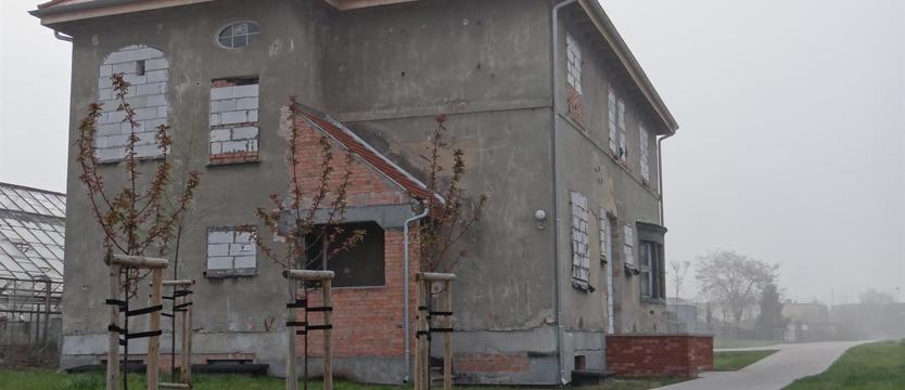 Najpierw formalności, potem kultura 