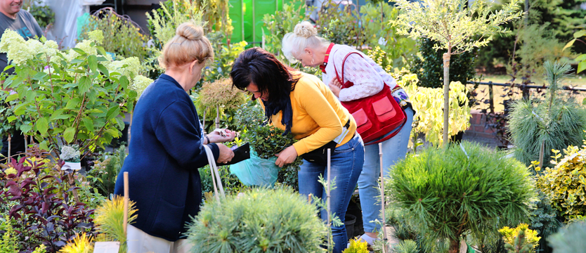 Kurs na Wały Chrobrego (galeria)