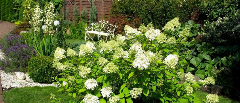 Głosuj na najlepszego!