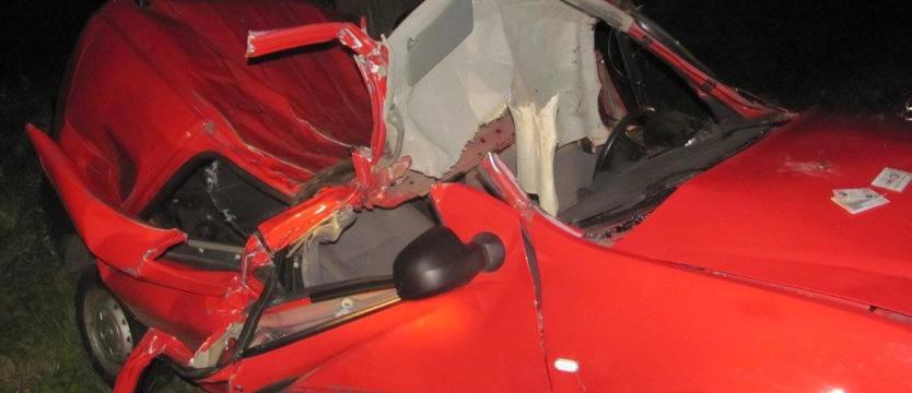 Śmierć przez... jenota