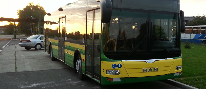 Autobusowe zakupy
