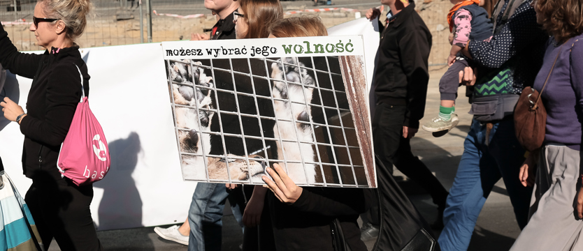 269: szacunek dla życia (galeria)